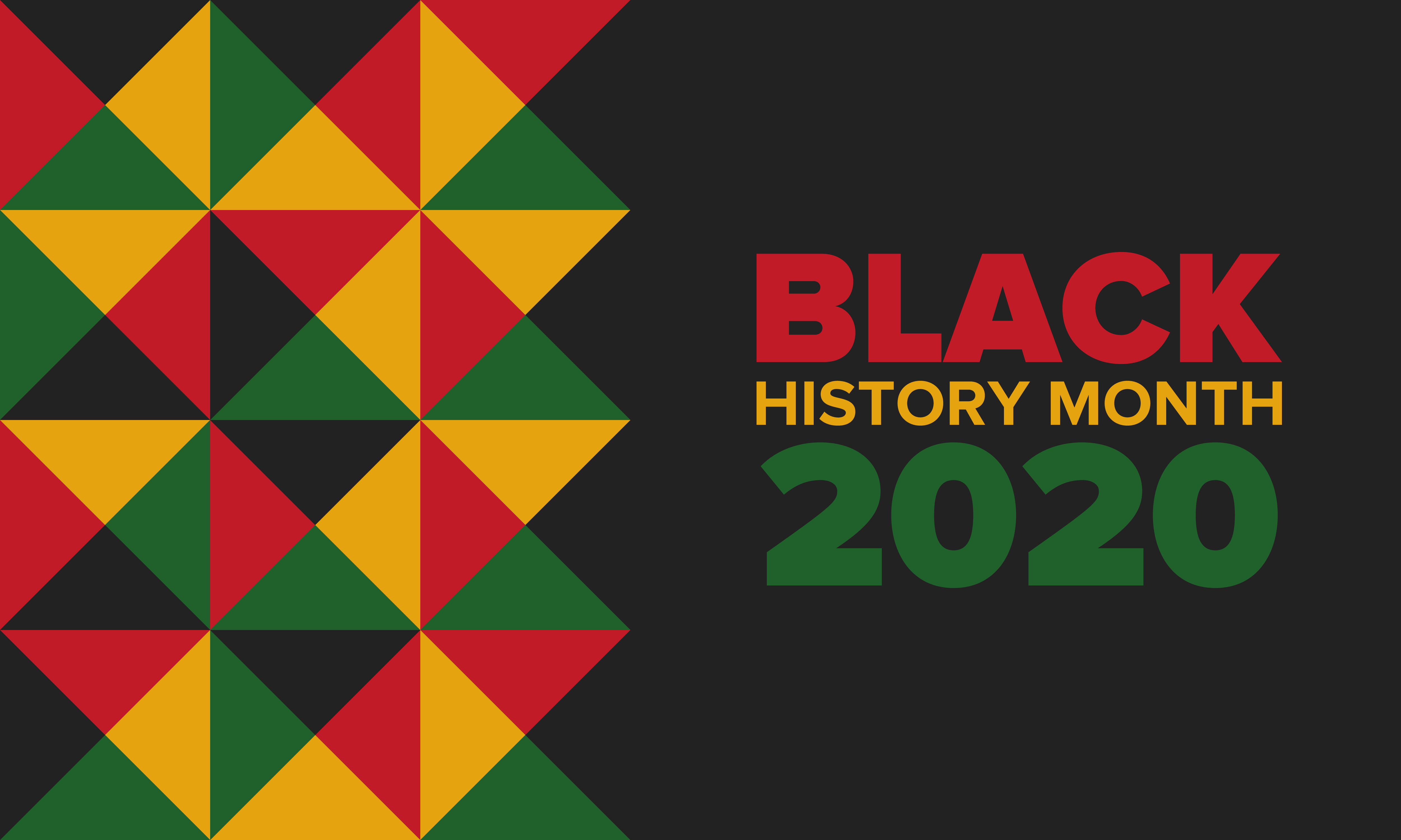 '... a springboard for future sustainable change' - Black History Month 2020