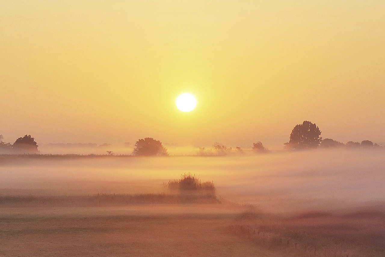 The Challenges of Urbanization