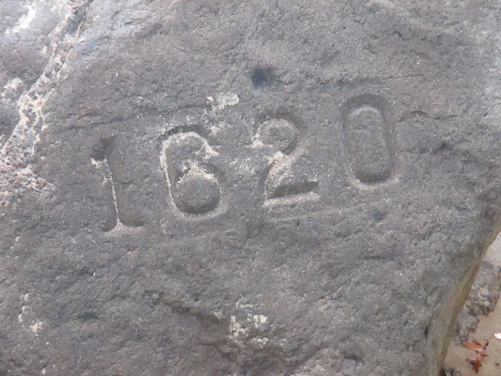 Who were the Mayflower Pilgrims? 