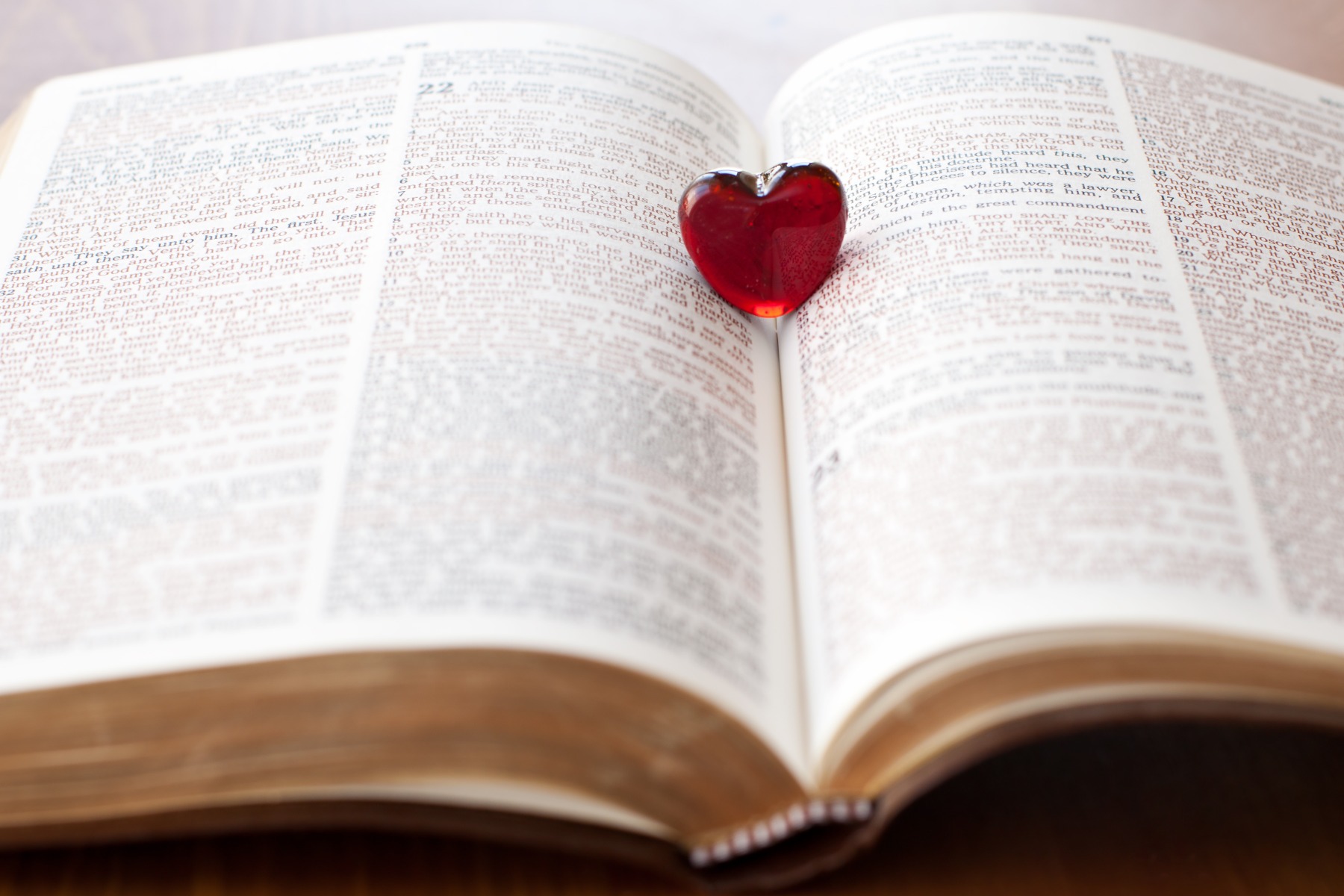 Heart on Bible