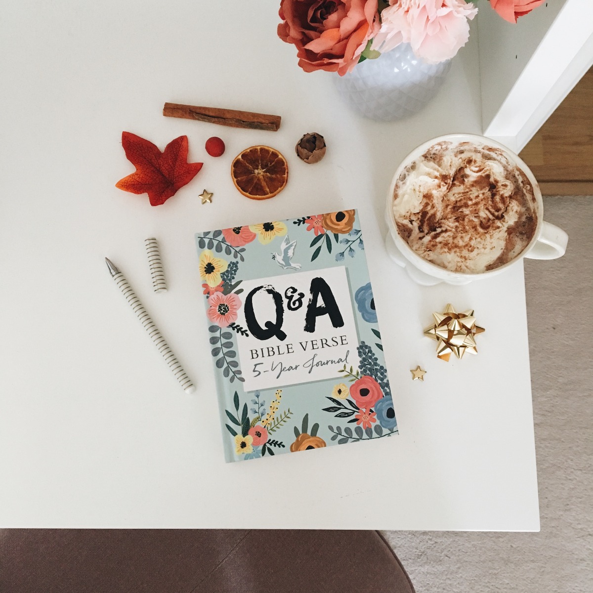 Q&A Bible Journal