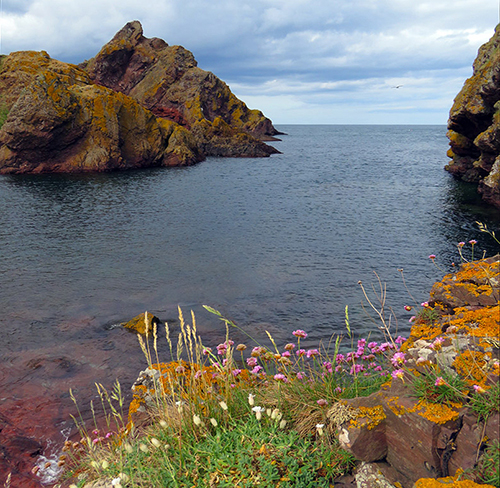 Coldingham Bay