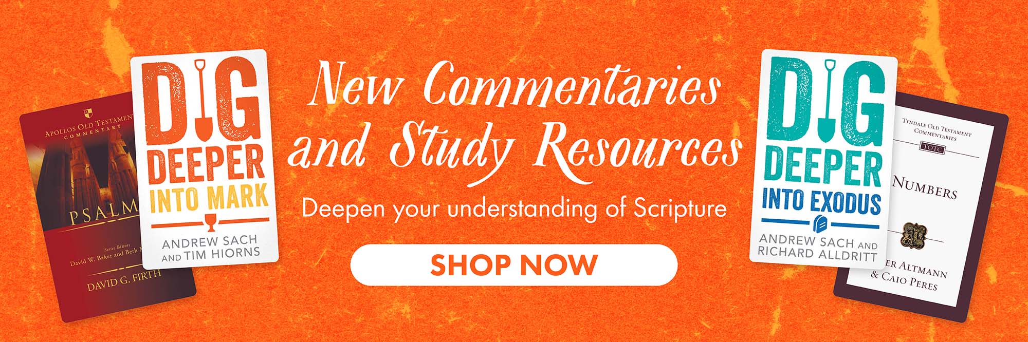 Best New In Bible Study Best New In Bible Study