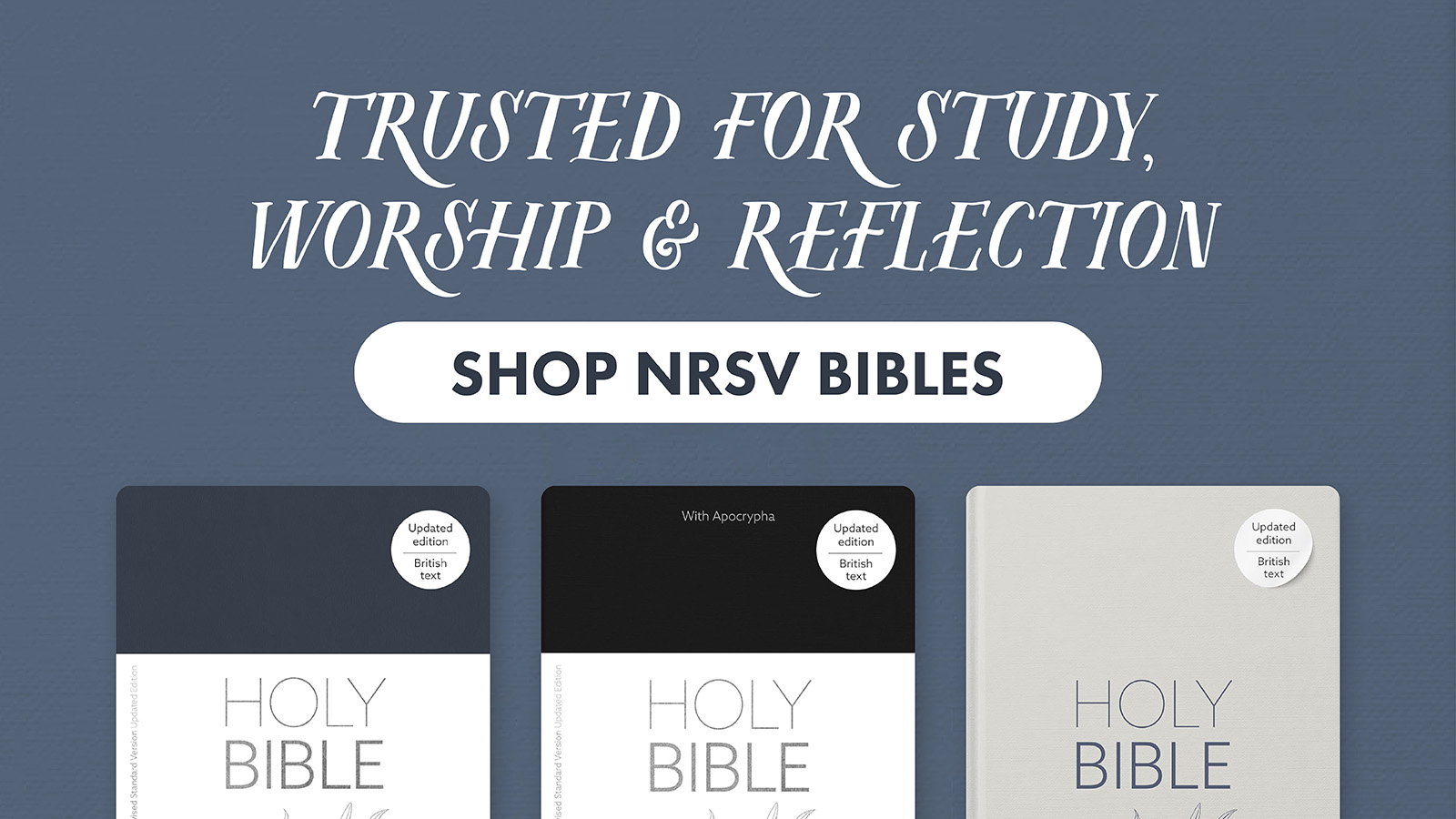 NLT Bestselling Bibles