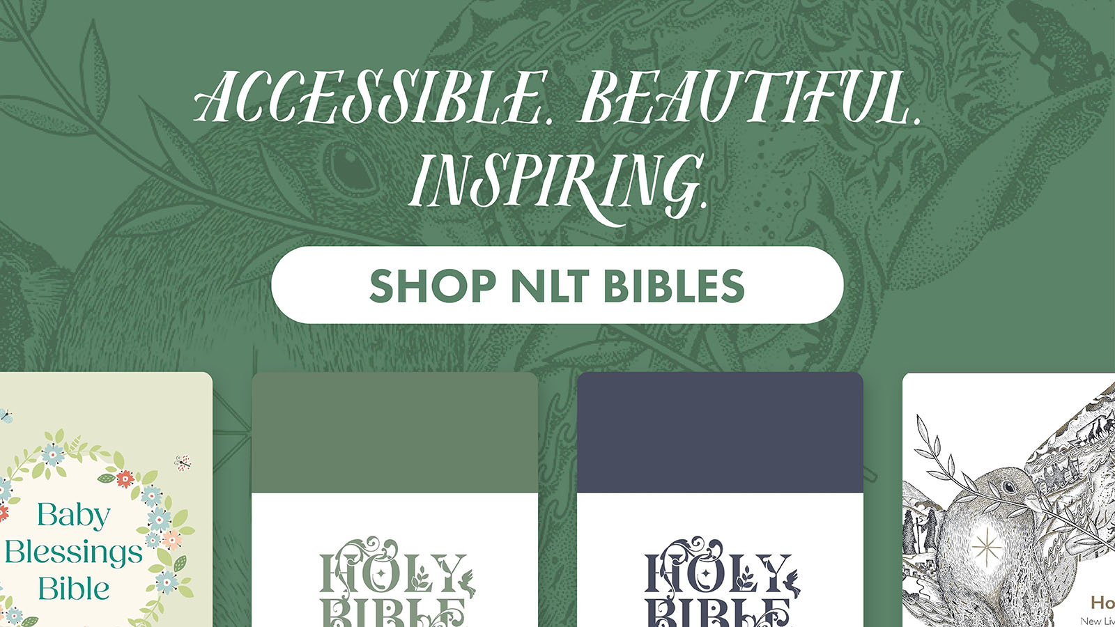 NLT Bestselling Bibles