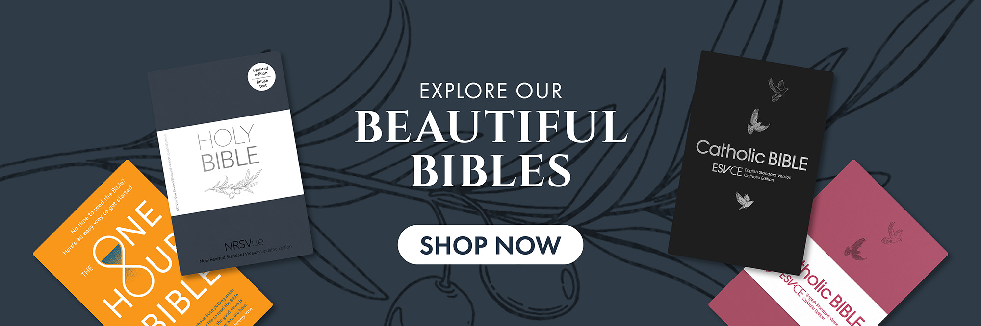 Beautiful Bibles